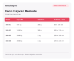 Örnek Canlı Hayvan Baskülü – 2000 kg / 1 kg - Görsel 2