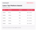 Örnek Çukur Tipi Platform Baskül – 600 kg / 200 g - Görsel 2