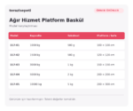 Örnek Ağır Hizmet Platform Baskül – 10000 kg / 5 kg - Görsel 2
