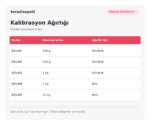 Örnek Kalibrasyon Ağırlığı – 100 g / Silindirik - Görsel 2