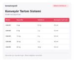 Örnek Konveyör Tartım Sistemi – 3 kg / 0,5 g - Görsel 2